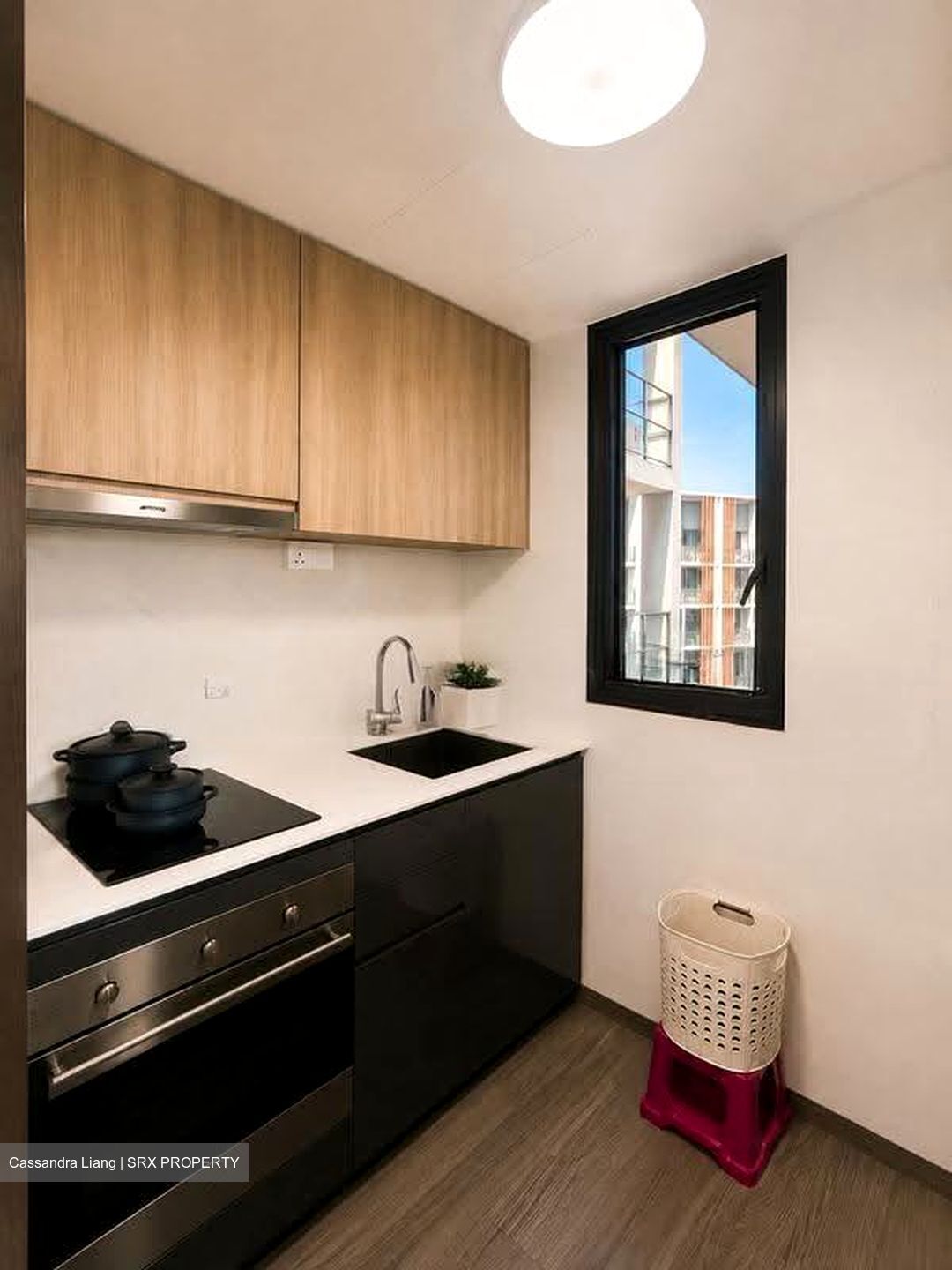 Botanique At Bartley (D19), Condominium #611579081